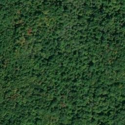 Satellite imagery of Jenkins Ridge, US