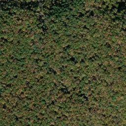 Satellite imagery of Wilson Ridge, US