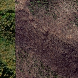 Satellite imagery of Middle Ridge, US