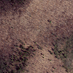 Satellite imagery of Clover Lick Ridge, US