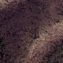 Satellite imagery of Third Point, US