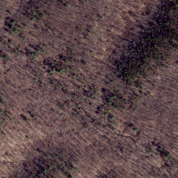 Satellite imagery of Cabin Ridge, US