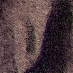 Satellite imagery of Cabin Ridge, US
