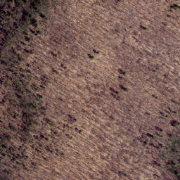 Satellite imagery of Clover Lick Ridge, US