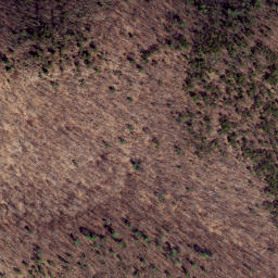 Satellite imagery of Third Point, US