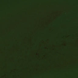 Satellite imagery of Mockley Point, US
