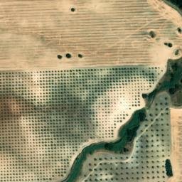 Satellite imagery of survey_point, PT