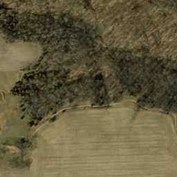 Satellite imagery of Walnut Ridge, US