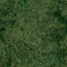 Satellite imagery of Loggerhead Ridge, US