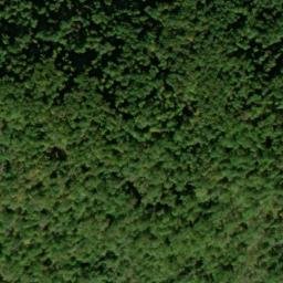 Satellite imagery of Pickerel Ridge, US