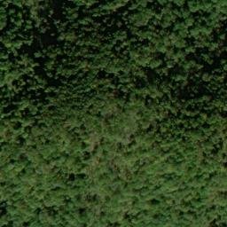 Satellite imagery of Pickerel Ridge, US
