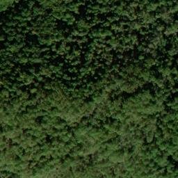 Satellite imagery of Pickerel Ridge, US