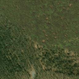 Satellite imagery of Chestnut Ridge, US