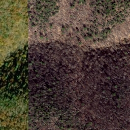 Satellite imagery of Hog Ridge, US
