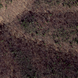Satellite imagery of Hog Ridge, US