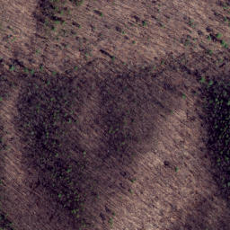 Satellite imagery of First Point, US
