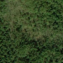 Satellite imagery of Pickerel Ridge, US