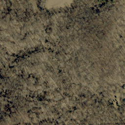 Satellite imagery of Cedar Bluff, US