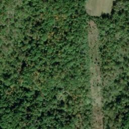 Satellite imagery of Morrison Ridge, US