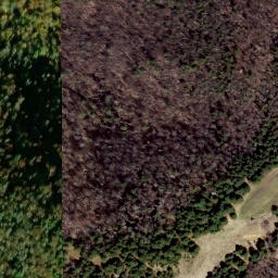 Satellite imagery of Hog Ridge, US