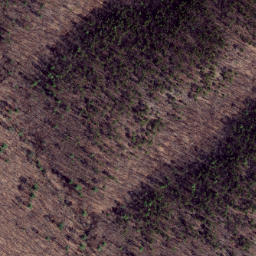Satellite imagery of Stony Point Ridge, US