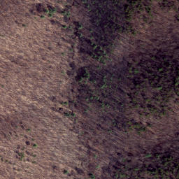 Satellite imagery of Middle Point, US