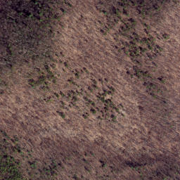Satellite imagery of Middle Point, US