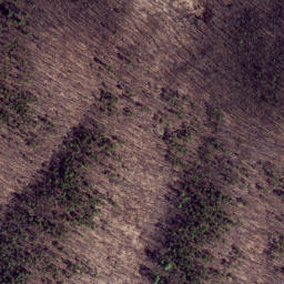 Satellite imagery of First Point, US