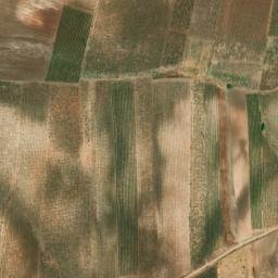 Satellite imagery of survey_point, PT