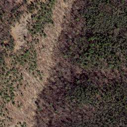 Satellite imagery of Hog Ridge, US