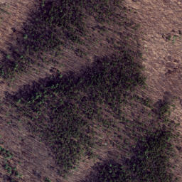 Satellite imagery of Middle Ridge, US