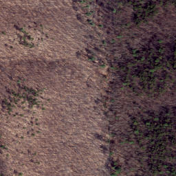 Satellite imagery of Middle Point, US