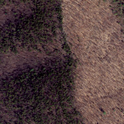 Satellite imagery of Middle Point, US