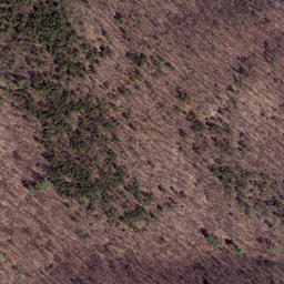 Satellite imagery of Middle Point, US