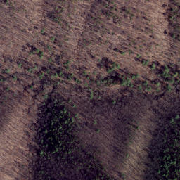 Satellite imagery of First Point, US