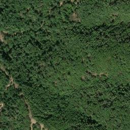 Satellite imagery of Fisher Point, US