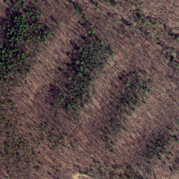 Satellite imagery of Feltz Ridge, US