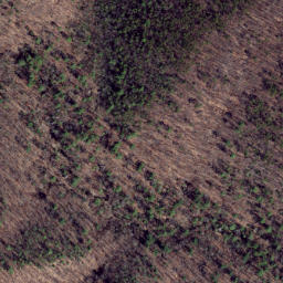 Satellite imagery of Feltz Ridge, US