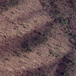Satellite imagery of Middle Ridge, US