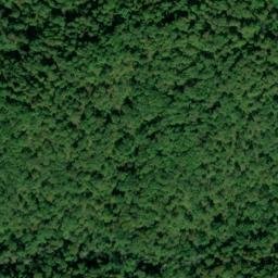 Satellite imagery of Leet Ridge, US