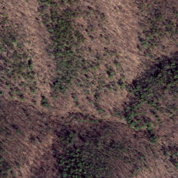 Satellite imagery of Feltz Ridge, US