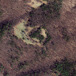 Satellite imagery of Feltz Ridge, US