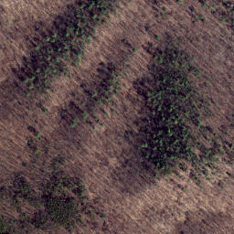Satellite imagery of Feltz Ridge, US