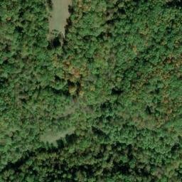 Satellite imagery of Bibbee Ridge, US