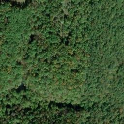 Satellite imagery of Bibbee Ridge, US