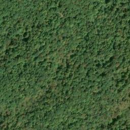 Satellite imagery of Bibbee Ridge, US