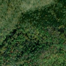 Satellite imagery of Walton Ridge, US