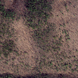 Satellite imagery of Feltz Ridge, US