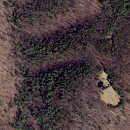 Satellite imagery of Feltz Ridge, US