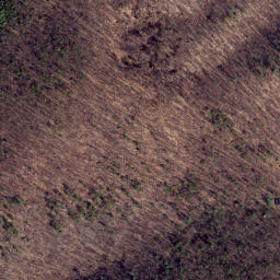 Satellite imagery of Feltz Ridge, US